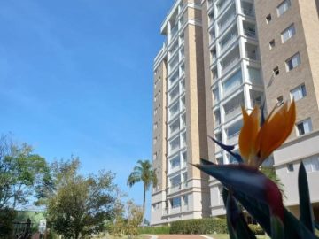 Apartamento 4 dormitrios